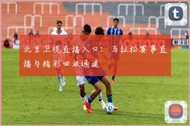 北京卫视直播入口：马拉松赛事直播与精彩回放通道