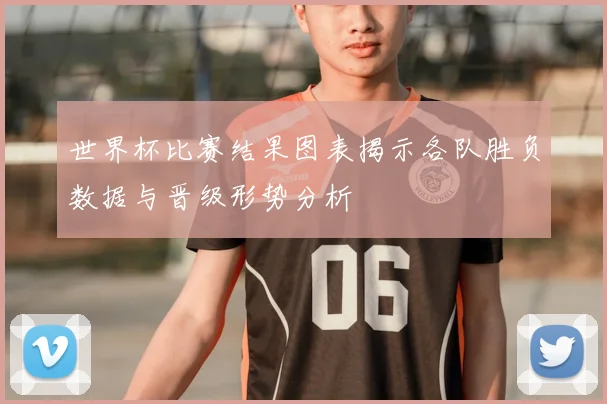 世界杯比赛结果图表揭示各队胜负数据与晋级形势分析