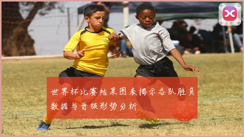 世界杯比赛结果图表揭示各队胜负数据与晋级形势分析