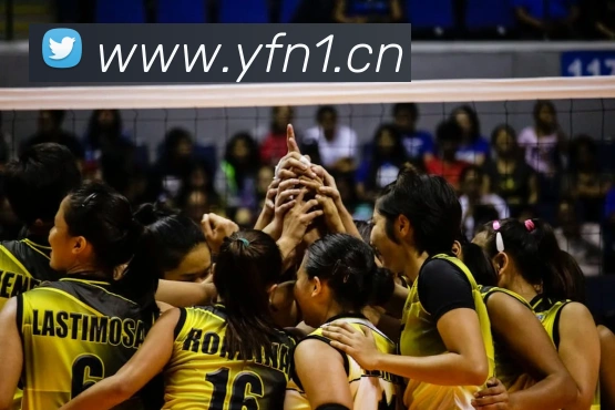 亚搏app在线注册发展历程